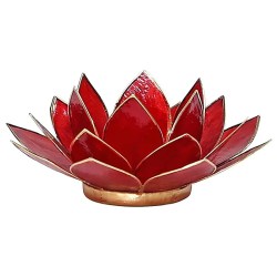 lotus sfeerlicht, lotus waxinelicht, lotusbloem, lotusbloem rood eerste chakra,