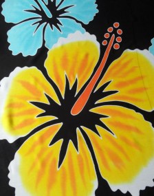 sarong handgeschilderd, hamamdoek handgeschilderd, sari handgeschilderd, pareo handgeschilderd, sarong voor strand, pareo voor strand, sari voor strand, hamamdoek voor strand,